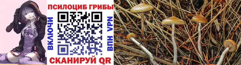 Псилоцибиновые грибы MAGIC MUSHROOMS  магазин  наркотиков  Поронайск 